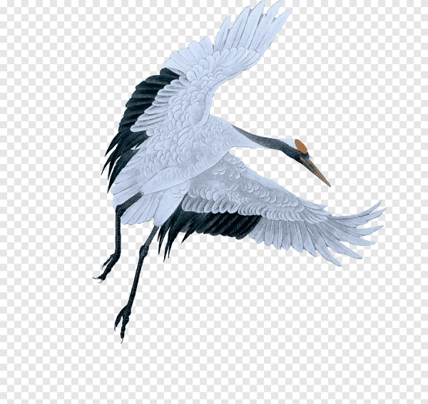 Журавли для фотошопа