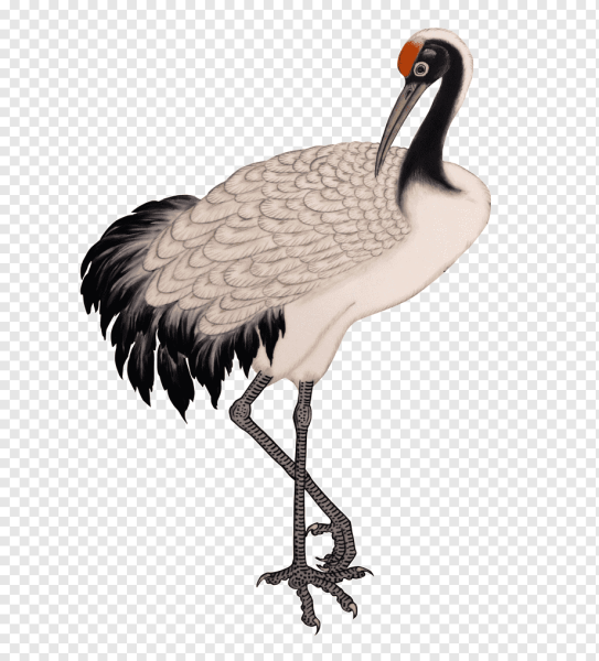 Журавли клипарт на прозрачном фоне