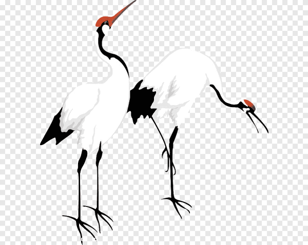 Японский журавль на прозрачном фоне