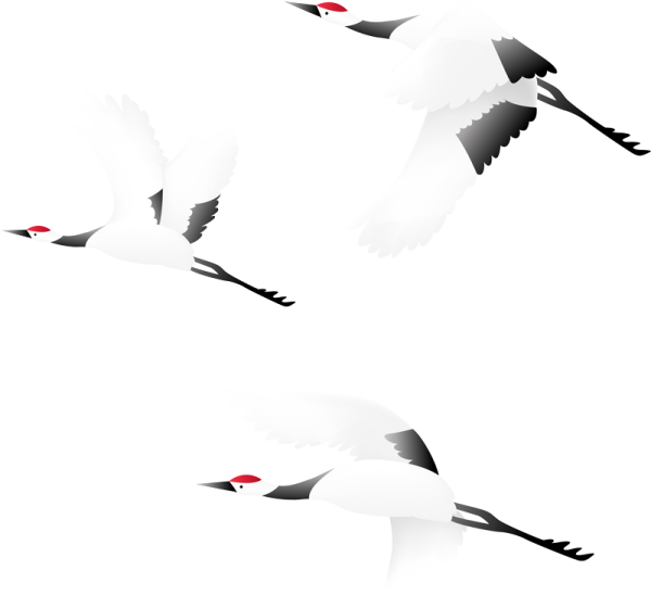 Клин журавлей на белом фоне
