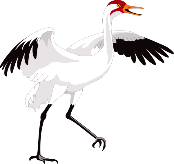 Аист мультяшный