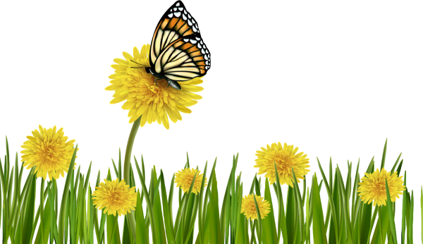 Рамка одуванчики