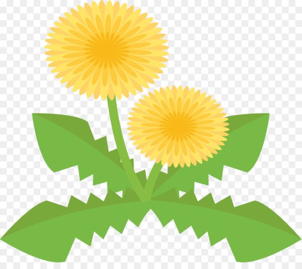 Одуванчик для дошкольников