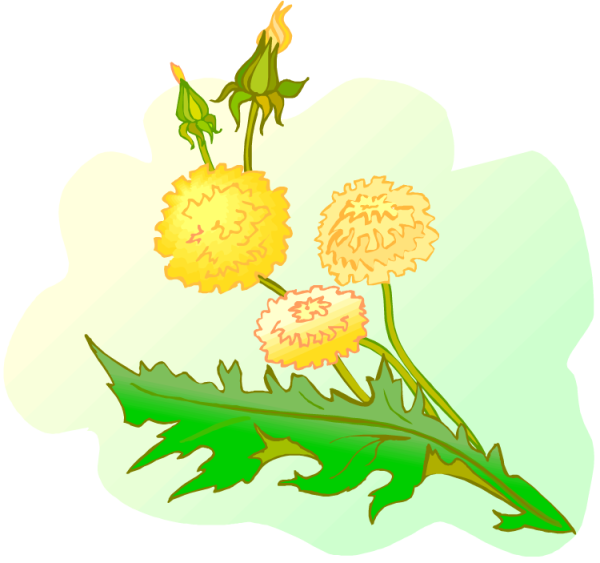 Детский сад одуванчик