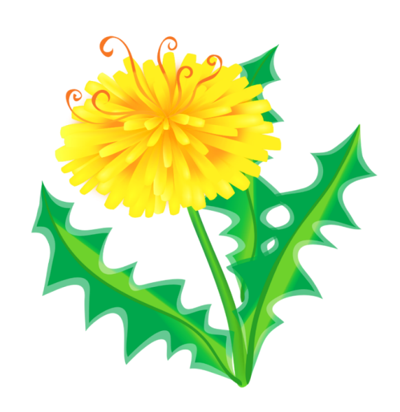 Одуванчик для детей