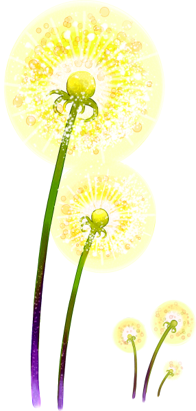 Разноцветные одуванчики