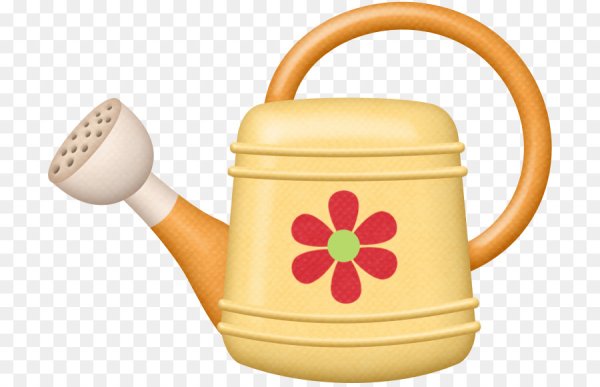 Лейка на белом фоне