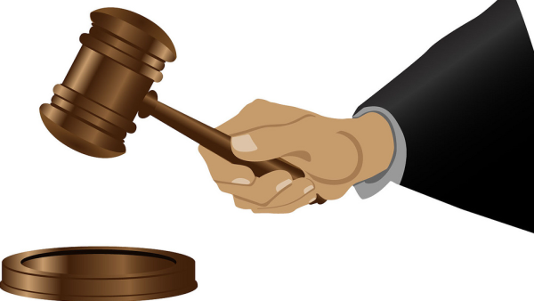 Судья без фона