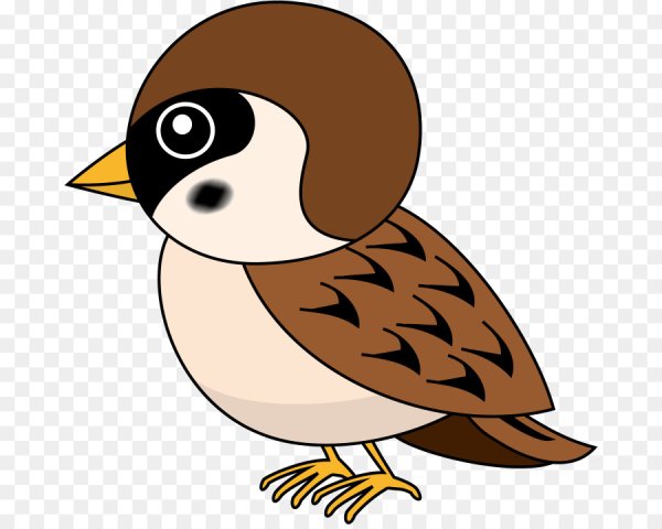 Изображение воробья для детей