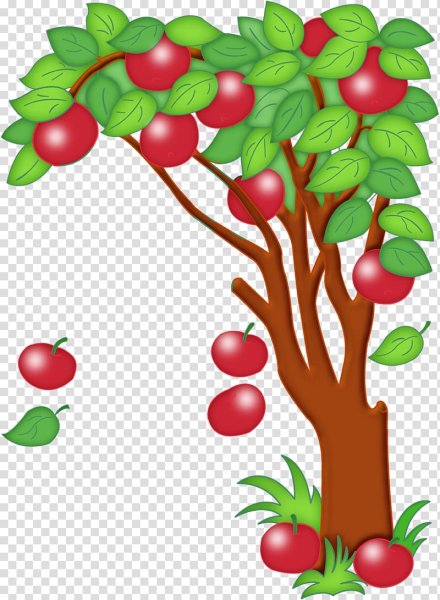 Фруктовые деревья для детей