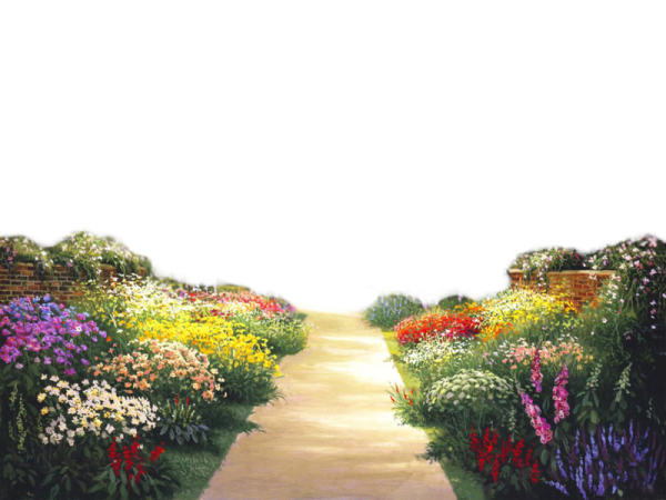 Сад на прозрачном фоне