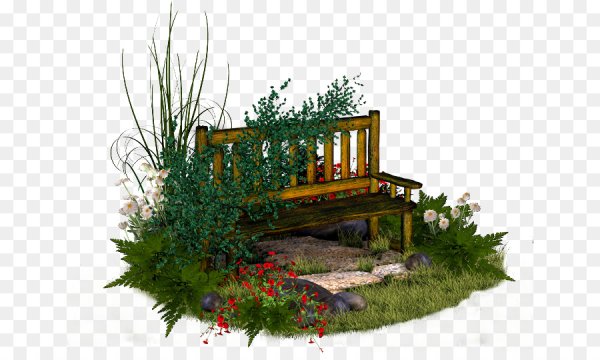 Клумба на белом фоне