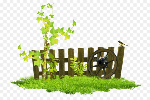 Забор для огорода без фона