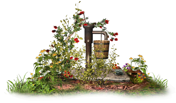 Сад на прозрачном фоне