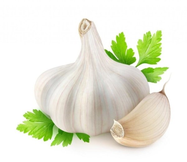 Чеснок без фона