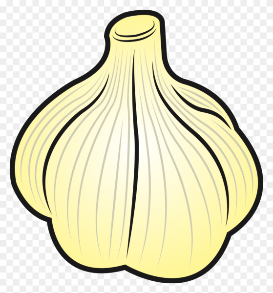 Чеснок вектор