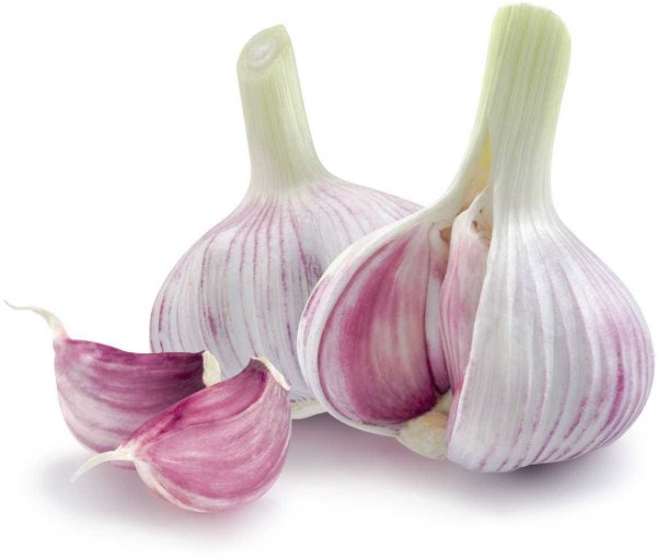 Овощи чеснок