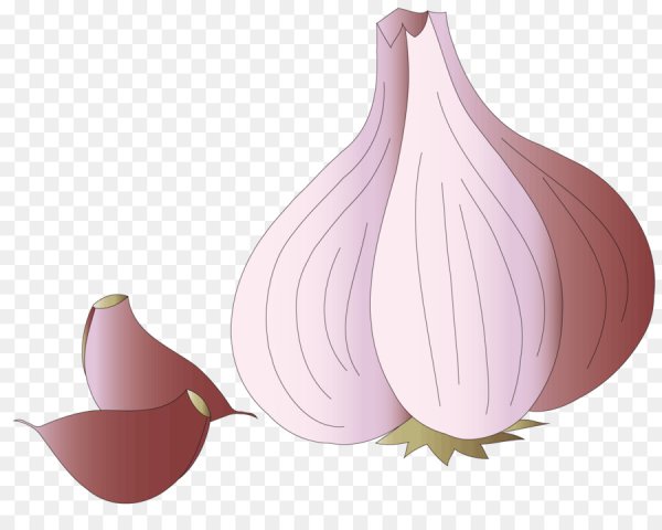 Векторный чеснок