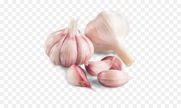 Головка чеснока