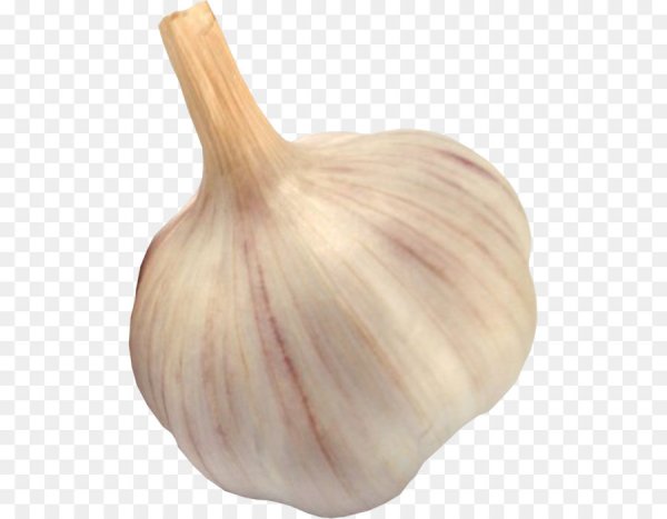 Головка чеснока