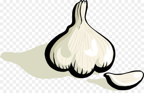 Векторный чеснок
