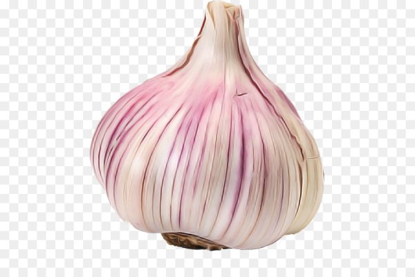 Головка чеснока