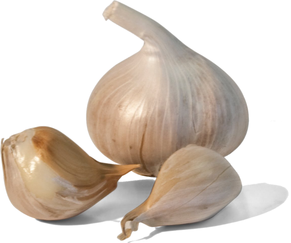 Чеснок сверху
