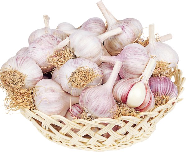 Чеснок в корзинке