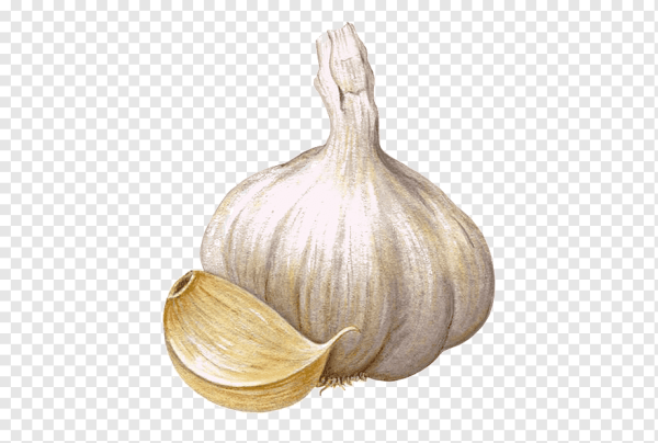 Чеснок мультяшный