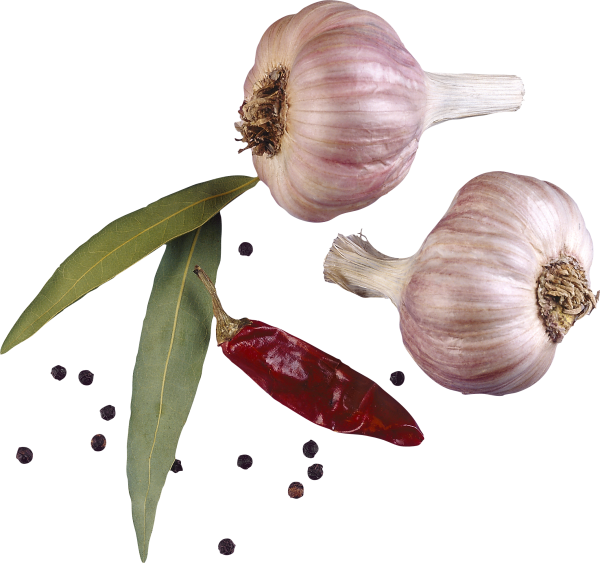 Чеснок вид сверху