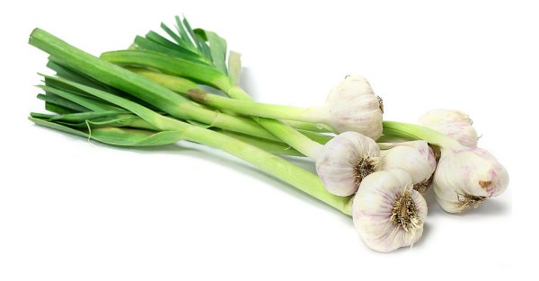 Чеснок с ботвой