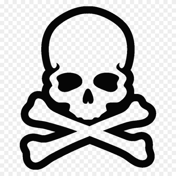 Кости черепа