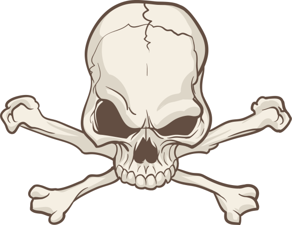 Кости черепа