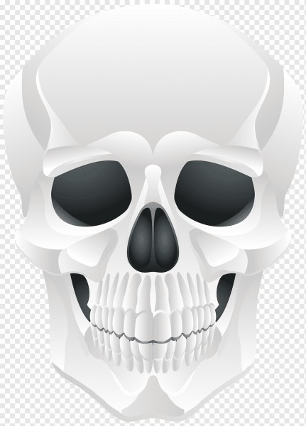 Череп без фона