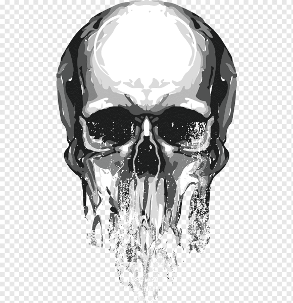 Череп без фона