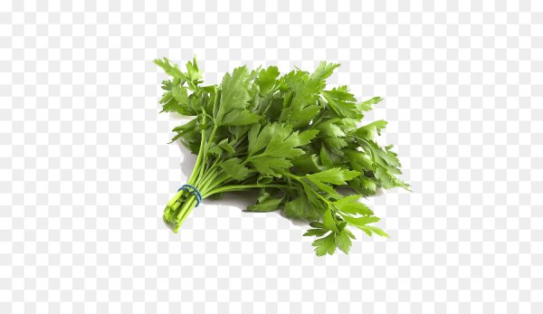 Петрушка без фона