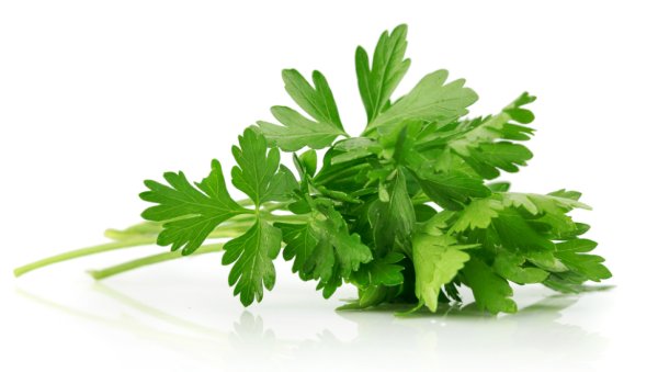 Петрушка на белом фоне