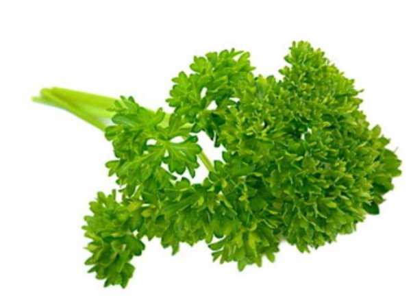 Петрушка кудрявая