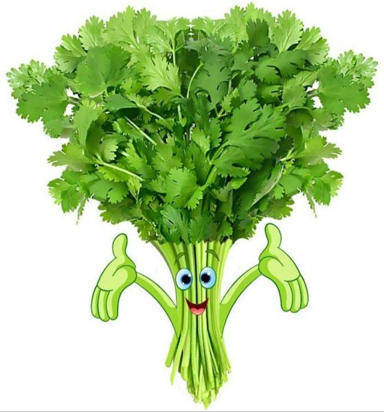 Веселый петрушка