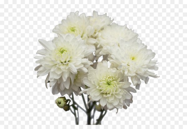 Георгины астры хризантемы букет