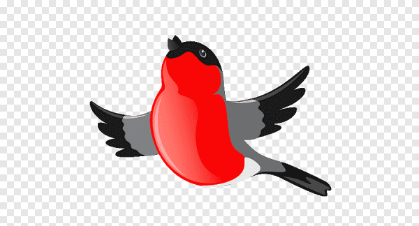 Снегирь на прозрачном фоне