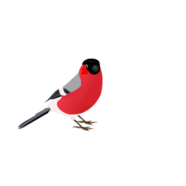 Снегирь мультяшный