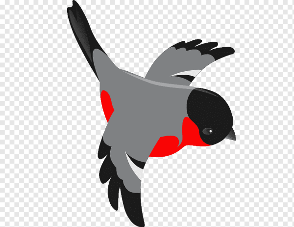 Снегирь в полете для детей