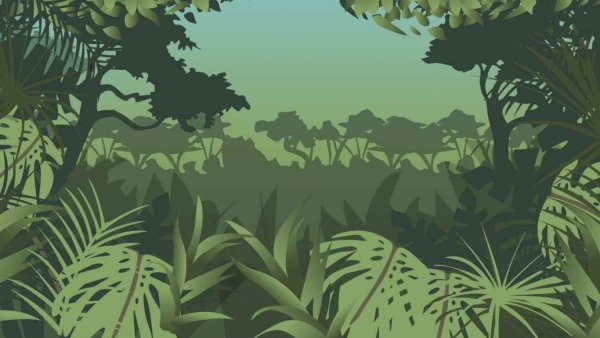 Джунгли Картун