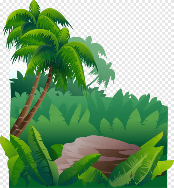 Джунгли нарисованные