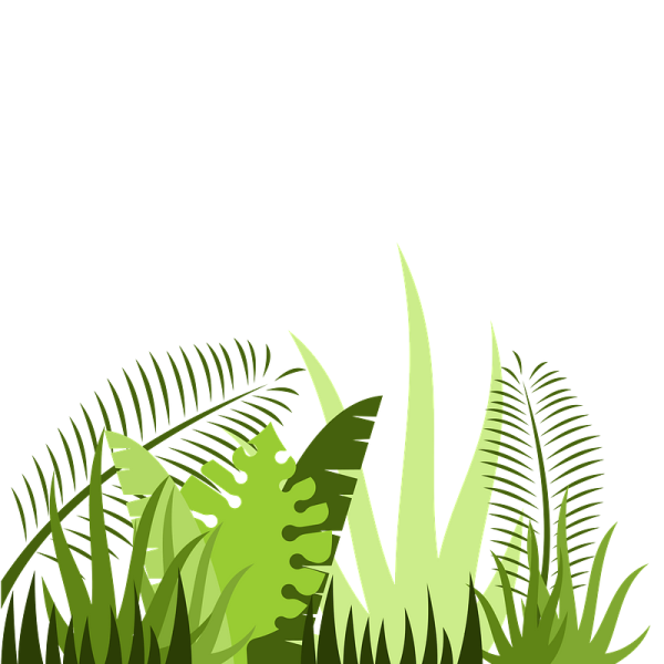 Джунгли на белом фоне