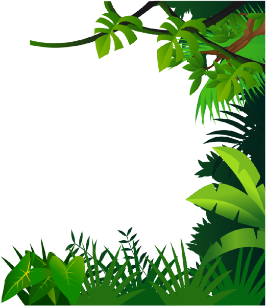 Рамка из пальмовых листьев