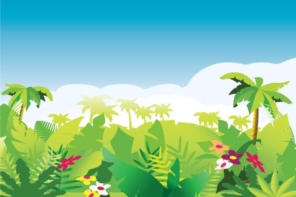 Тропики для детей