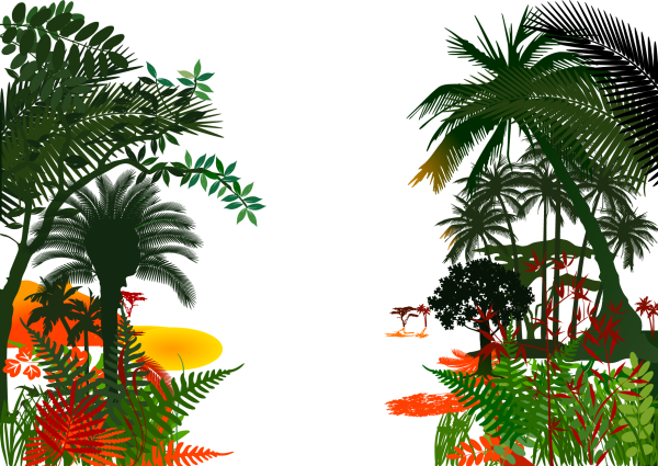 Тропический лес