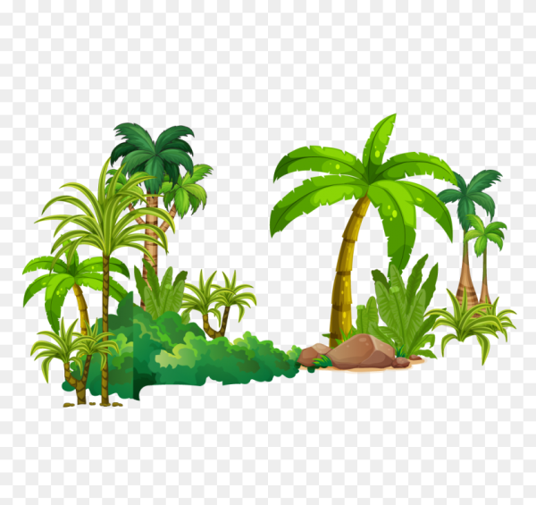 Тропики для детей